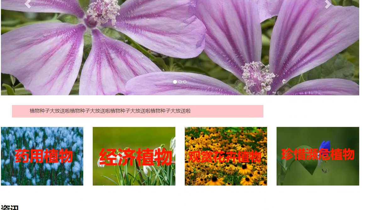 植物资讯网站3